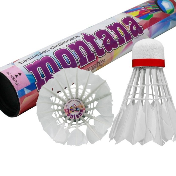 Bola Badminton 